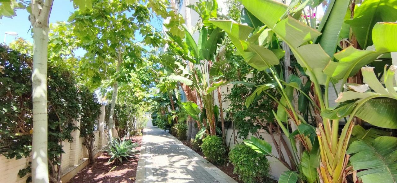 Apartamento Zephyrus By Denia Costa Exterior photo